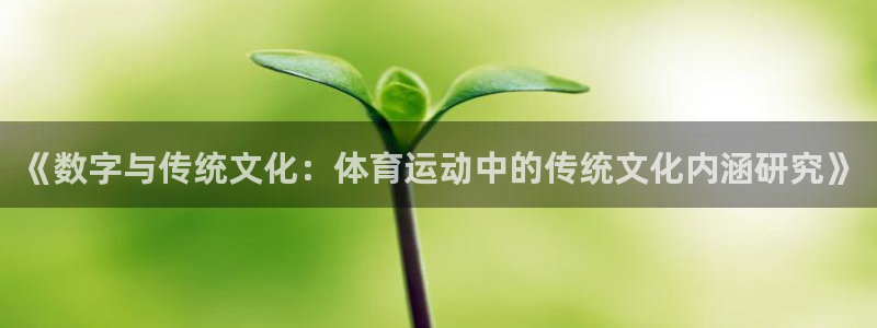 yy易游官网下载招商电话地址：《数字与传统文化：体育