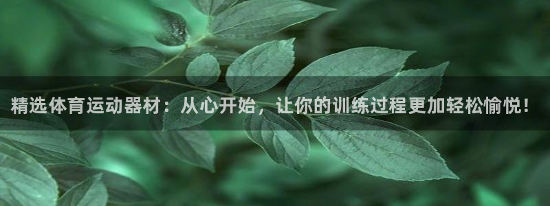 yy易游官网下载招商电话号码查询：精选体育运动器材：