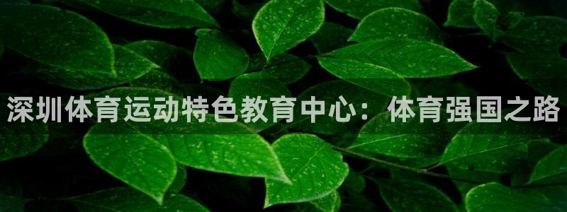 yy易游官方正版app集团官网网址：深圳体育运动特色