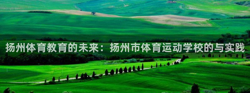 注册yy易游官方正版app：扬州体育教育的未来：扬州