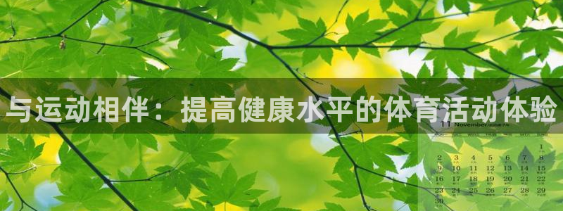 yy易游官方正版app代理：与运动相伴：提高健康水平的体育活