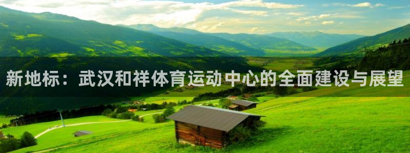 yy易游官方正版app官方：新地标：武汉和祥体育运动