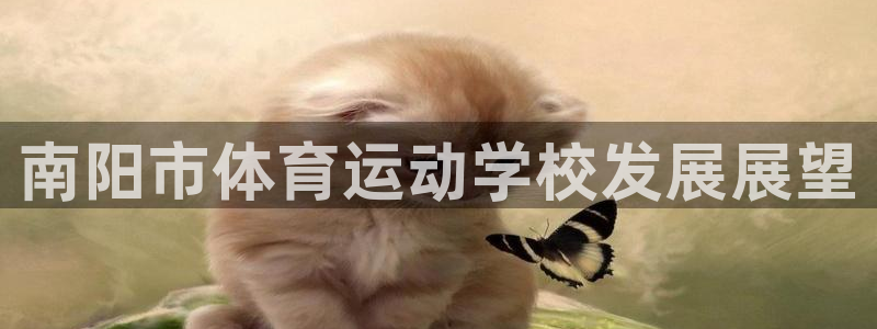 yy易游官网下载招商电话号码查询是多少：南阳市体育运