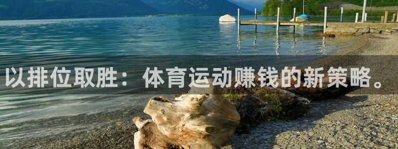 yy易游官方正版app集团简介：以排位取胜：体育运动