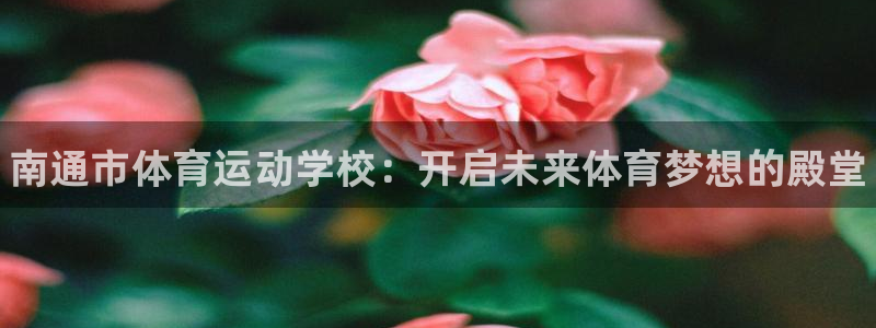 yy易游官方正版app娱乐下载：南通市体育运动学校：