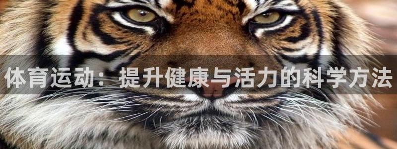 yy易游官网下载是干嘛的公司：体育运动：提升健康与活
