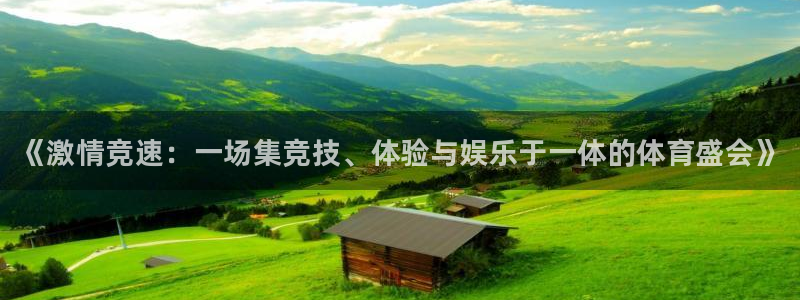 yy易游官方正版app娱乐平台：《激情竞速：一场集竞