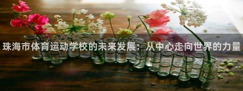 yy易游官方正版app娱乐是那个系列的台子：珠海市体育运动学