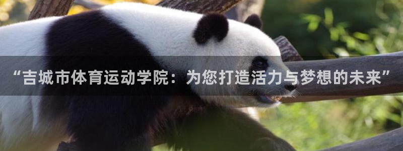 yy易游官方正版app娱乐代理怎么样：“吉城市体育运动学院：