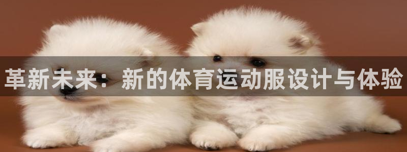 yy易游官网下载平台是正规平台吗：革新未来：新的体育
