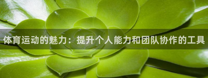 yy易游官网下载招商电话号码是多少啊：体育运动的魅力：提升个