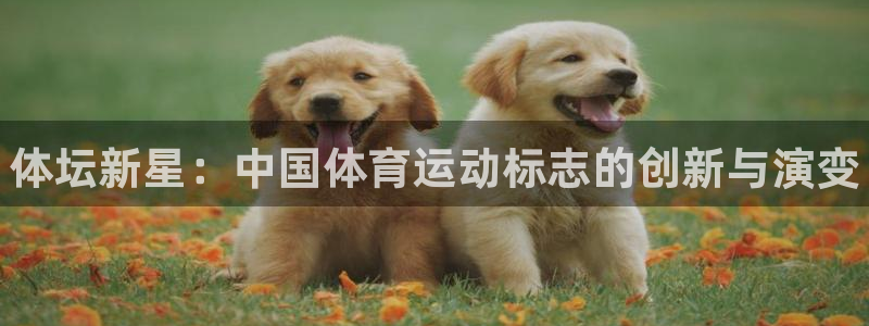 yy易游官网下载招商电话是多少号码：体坛新星：中国体育运动标