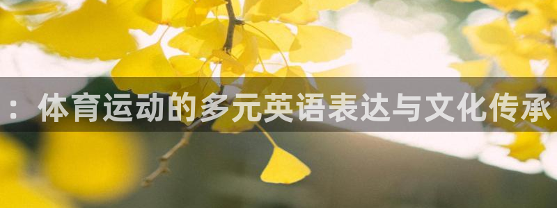 yy易游官网下载是干嘛的公司：：体育运动的多元英语表达与文化