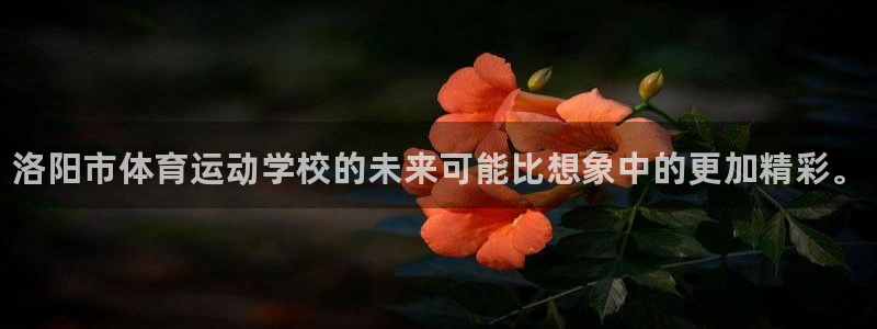 yy易游官网下载平台假的吗是真的吗：洛阳市体育运动学