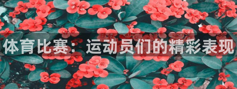 yy易游官网下载开户：体育比赛：运动员们的精彩表现