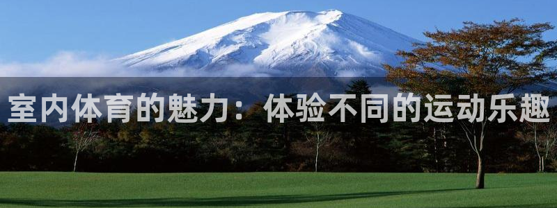 yy易游官网下载平台：室内体育的魅力：体验不同的运动