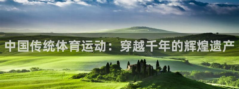 yy易游官网下载招商电话地址查询