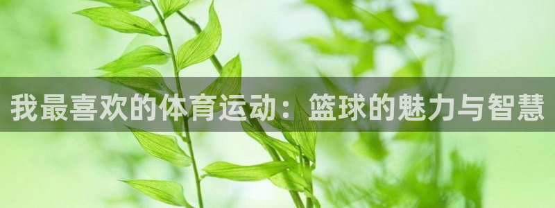 yy易游官方正版app开户：我最喜欢的体育运动：篮球