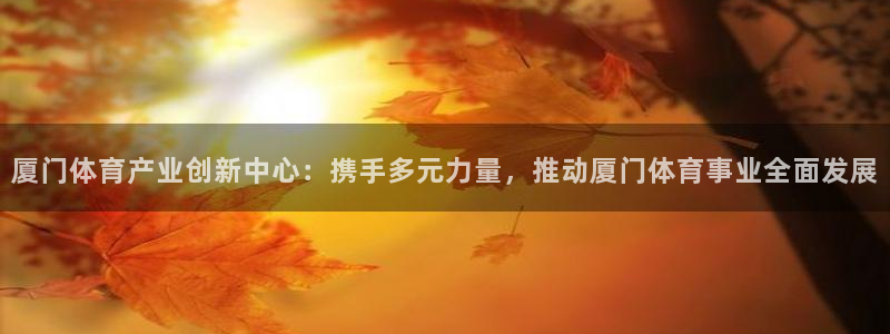 yy易游官网下载：厦门体育产业创新中心：携手多元力量