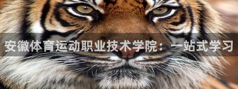 yy易游官网下载招商电话号码是多少：安徽体育运动职业技术学院