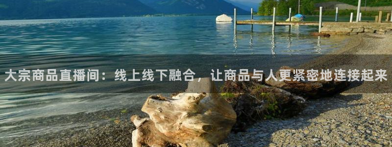 833直播篮球比赛在线观看