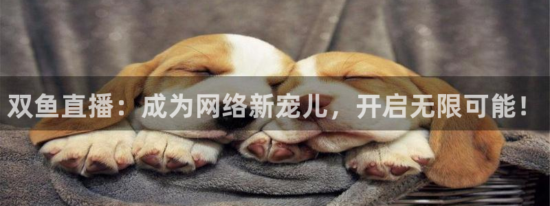 833体育直播在线观看